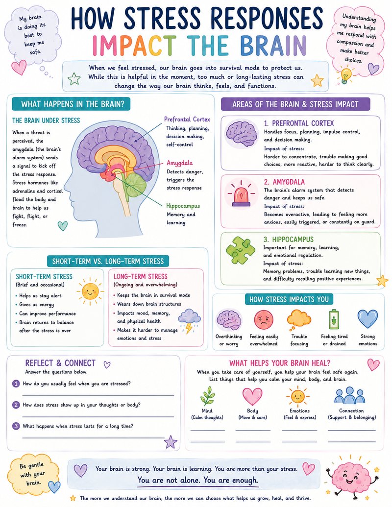 How Stress Responses Impact the Brain